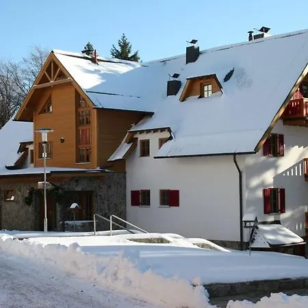 Bolfenk B6 Hočko Pohorje