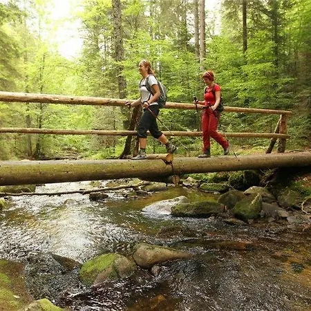 Апартаменты Bolfenk B6 Хочко Погорье