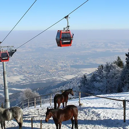 Bolfenk B6 Апартаменты Хочко Погорье