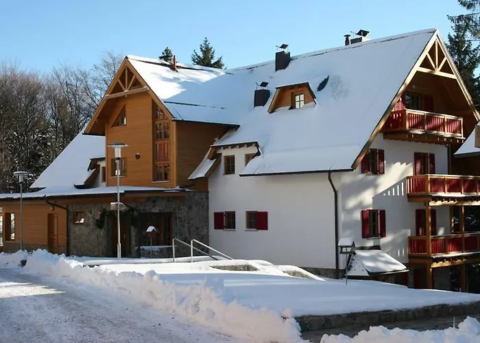 Bolfenk B6 Hočko Pohorje