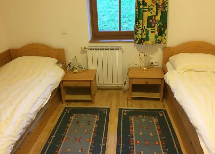 Bolfenk B6 Hočko Pohorje