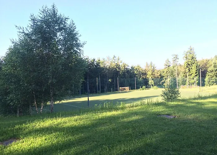 Bolfenk B6 Hočko Pohorje