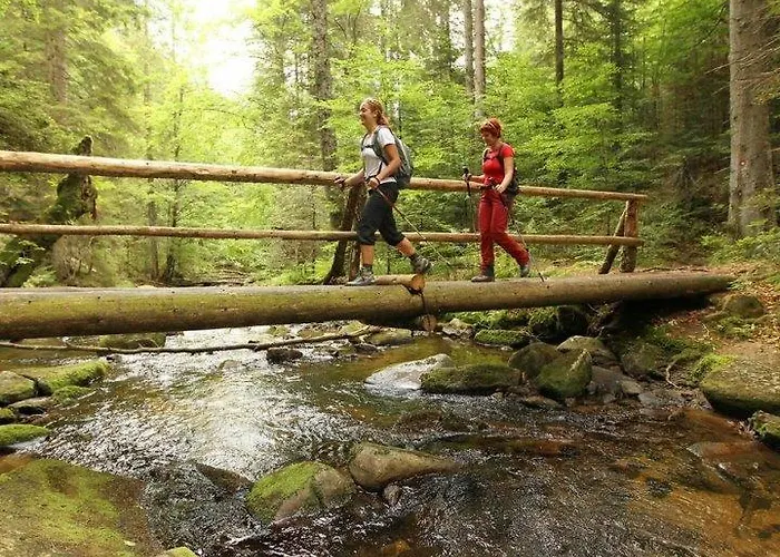 Apartmán Bolfenk B6 Hočko Pohorje