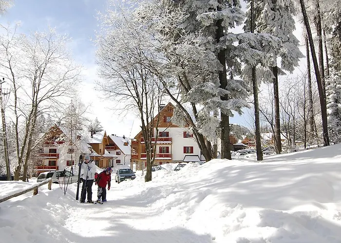 Bolfenk B6 * Hočko Pohorje