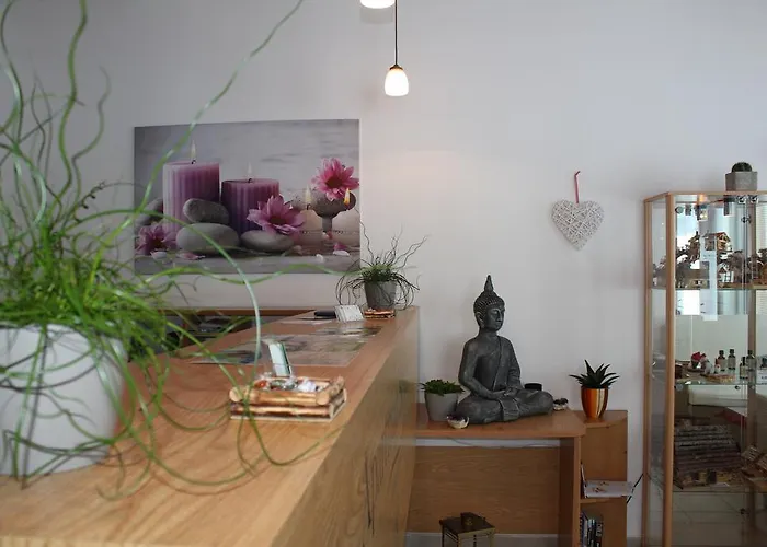 Bolfenk B6 Hočko Pohorje