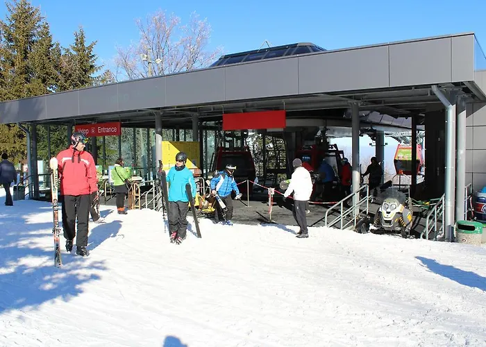 Bolfenk B6 Hočko Pohorje
